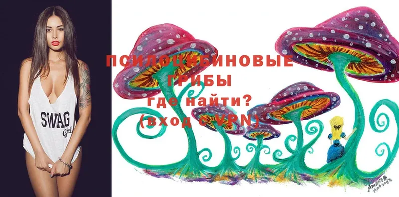 Галлюциногенные грибы MAGIC MUSHROOMS  где можно купить   Ленск 